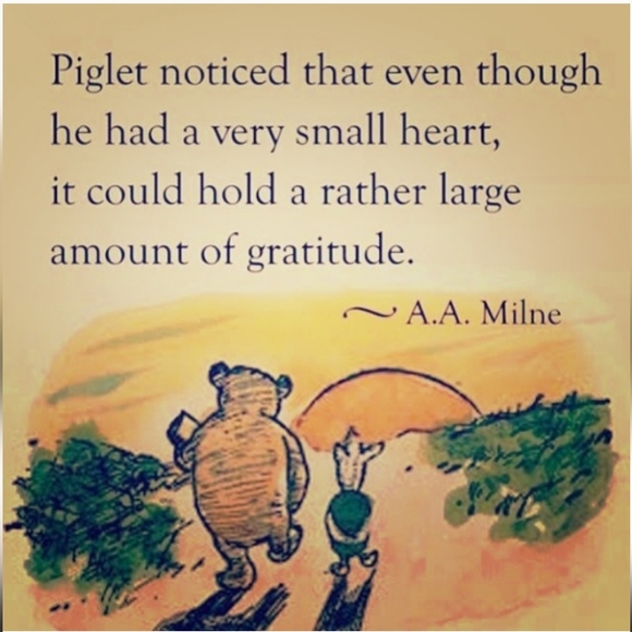 💖 Vintage Trolls Carrying Case  PINK - Picture 15 of 15